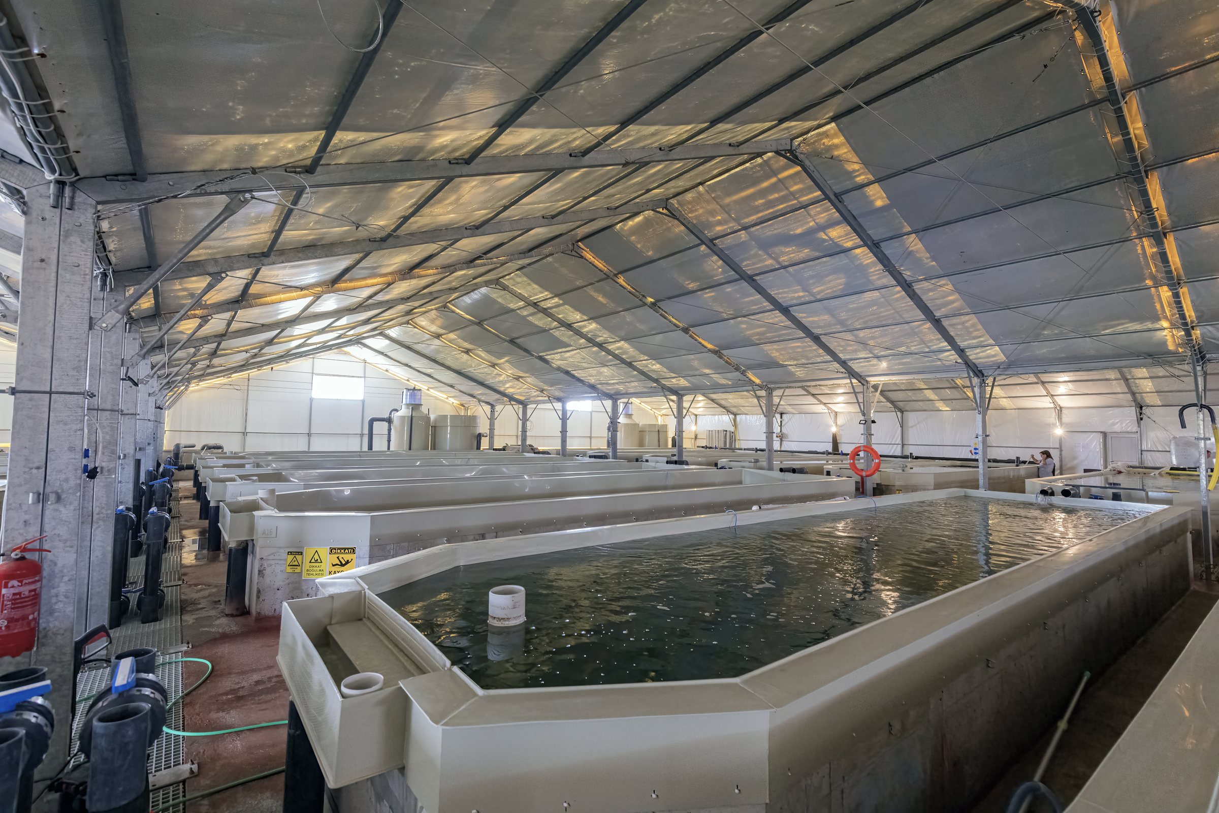 Water Treatment & Filtration