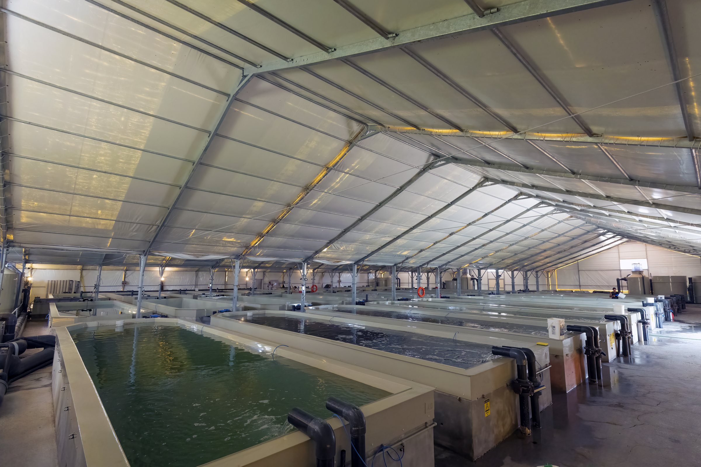 Facility Overview