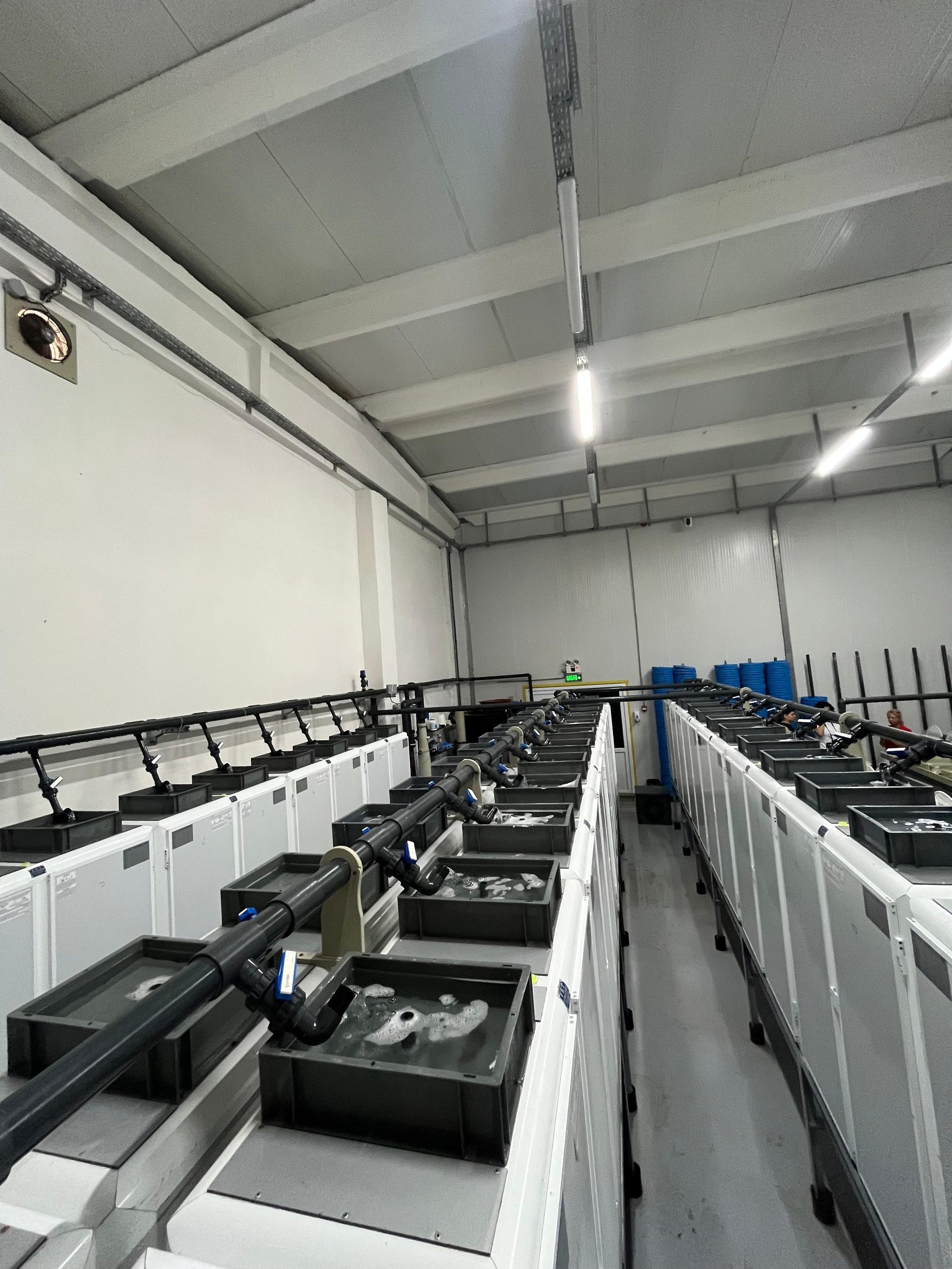 Hatchery Operations